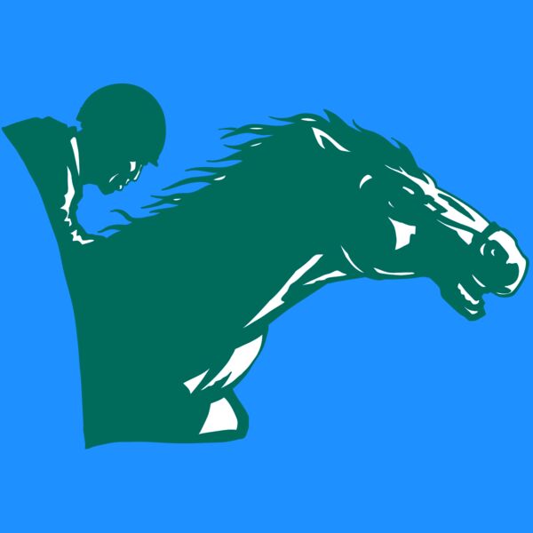 AR EQUEST 19 RC Thumbnail