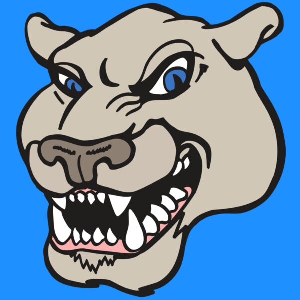 AR5 COUGAR 10 RQC Thumbnail