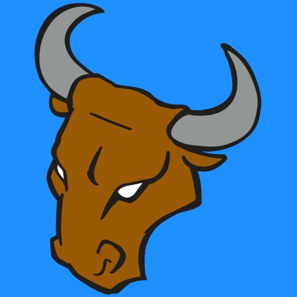 AR BULL 28 RC Thumbnail