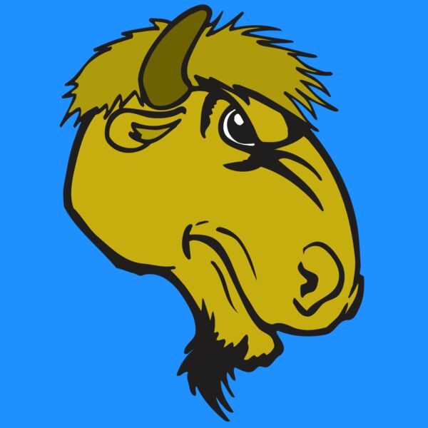 AR BUFFALO 14 RC Thumbnail