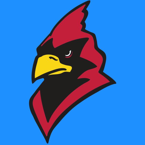 AR CARDINAL 22 RC Thumbnail