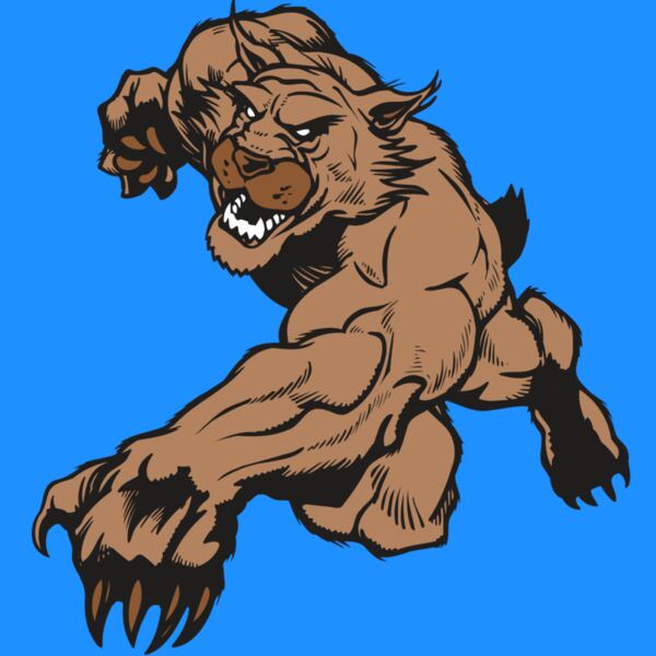 AR WILDCAT 47 RC Thumbnail