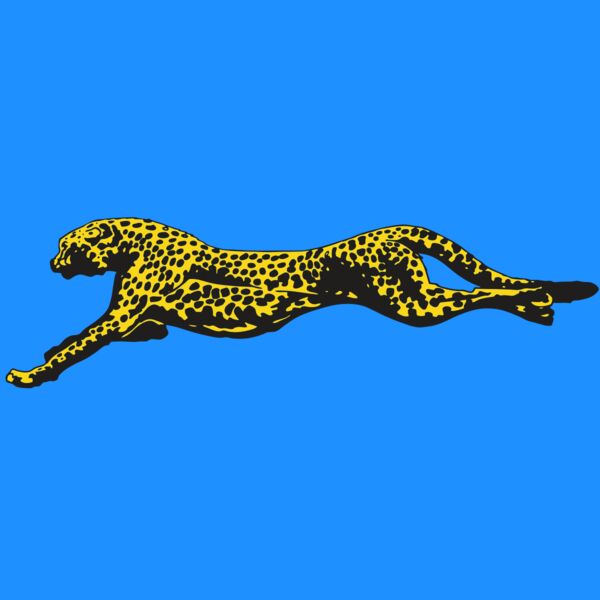 AR CHEETAH 12 RC Thumbnail