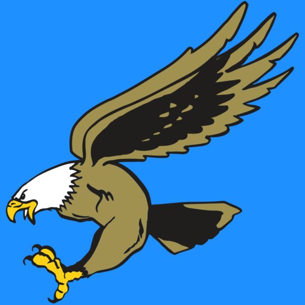 AR EAGLE 23 RC Thumbnail