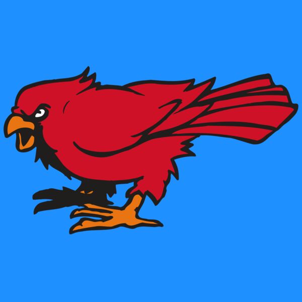 AR CARDINAL 59 RC Thumbnail