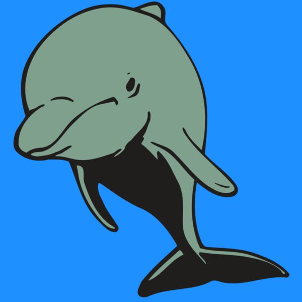 AR DOLPIN 11 RC Thumbnail