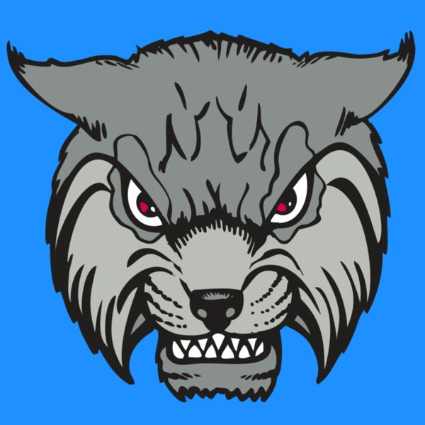 BAW BOBCAT 02 RC Thumbnail