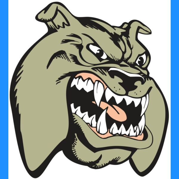 BAW BULLDOG 03 RC Thumbnail