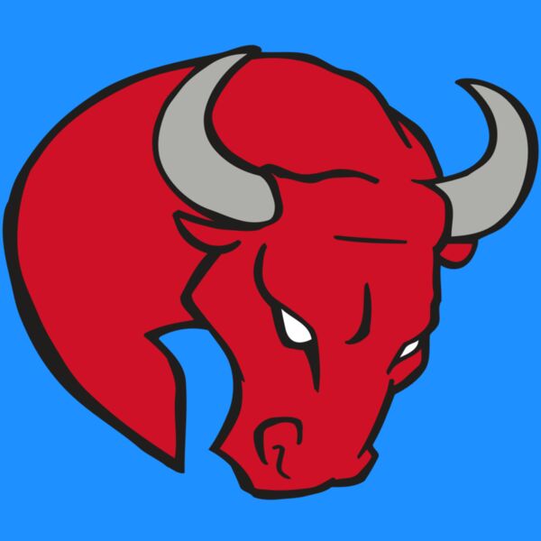 AR BULL 24 RC Thumbnail