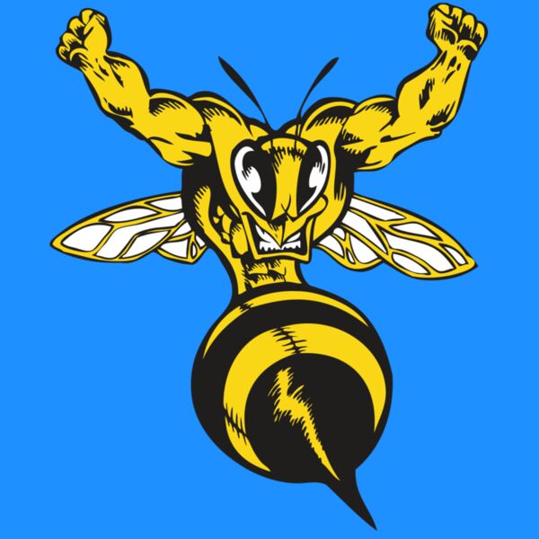 BAW BEE 04 RC Thumbnail