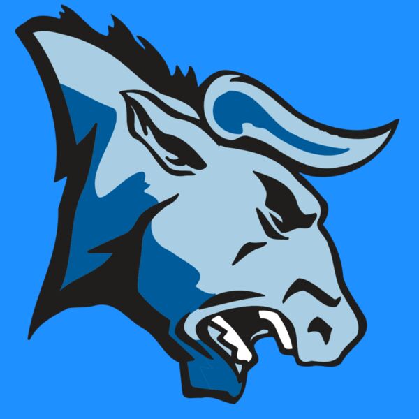 AR BULL 20 RC Thumbnail