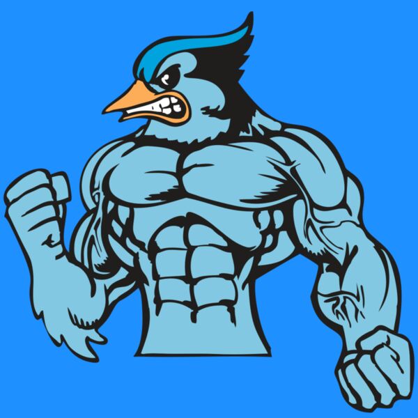 BAW BLUEJAY 16 RC Thumbnail