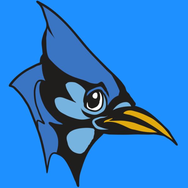 AR31 BLUEJAY 03 RQC Thumbnail