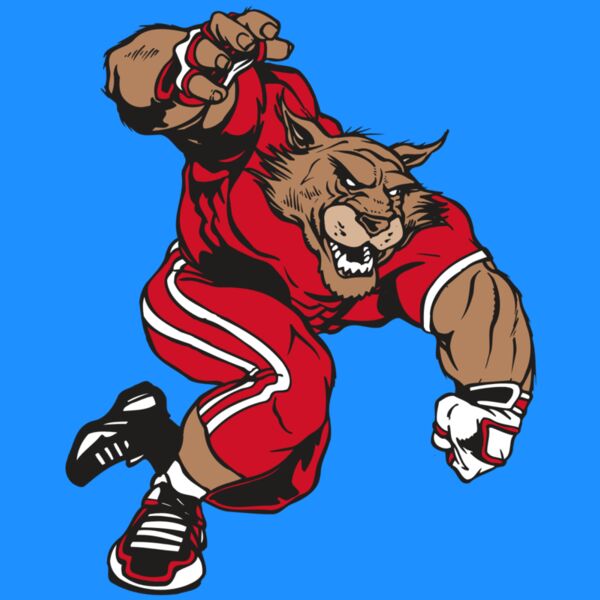 AR WILDCAT 32 RC Thumbnail