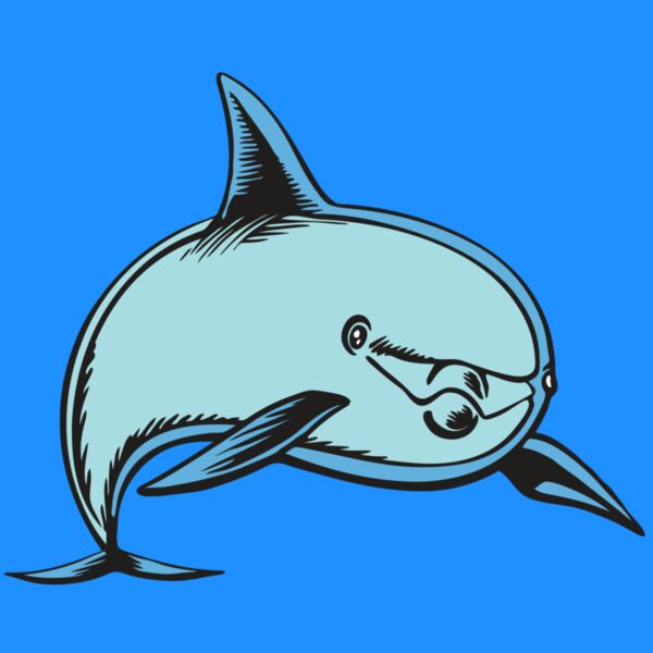 BAW DOLPHIN 04 RC Thumbnail