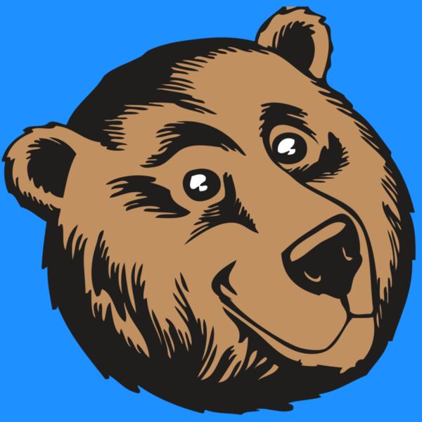 BAW BEAR 11 RC Thumbnail