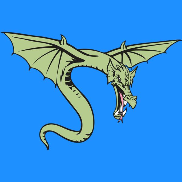 BAW DRAGON 08 RC Thumbnail