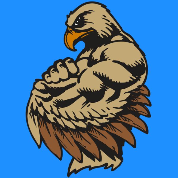 BAW HWK FLCN 02 RC Thumbnail