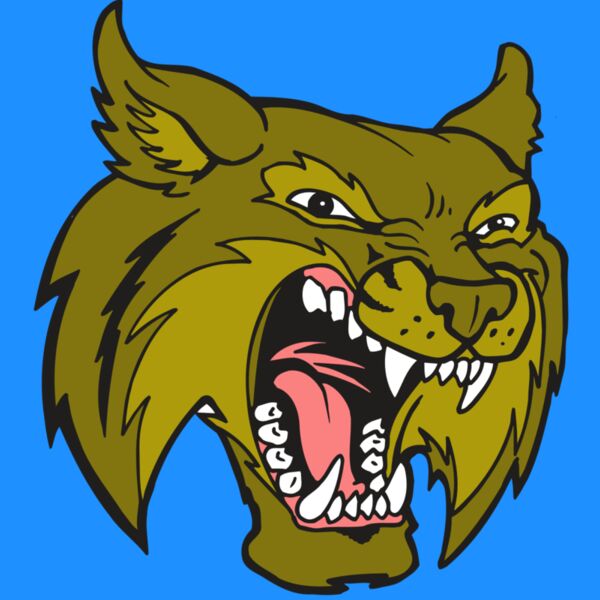 AR5 BOBCAT 20 RQC Thumbnail