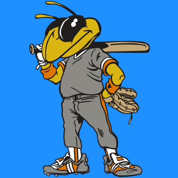 AR5 BEE 17 RQC Thumbnail