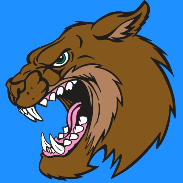 AR5 BOBCAT 18 RQC Thumbnail