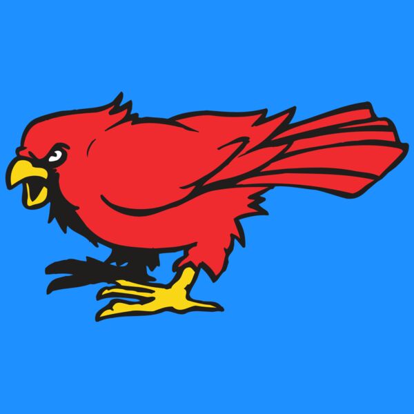 AR CARDINAL 11 RC Thumbnail