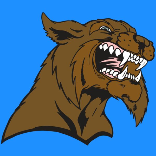 AR5 BOBCAT 21 RQC Thumbnail