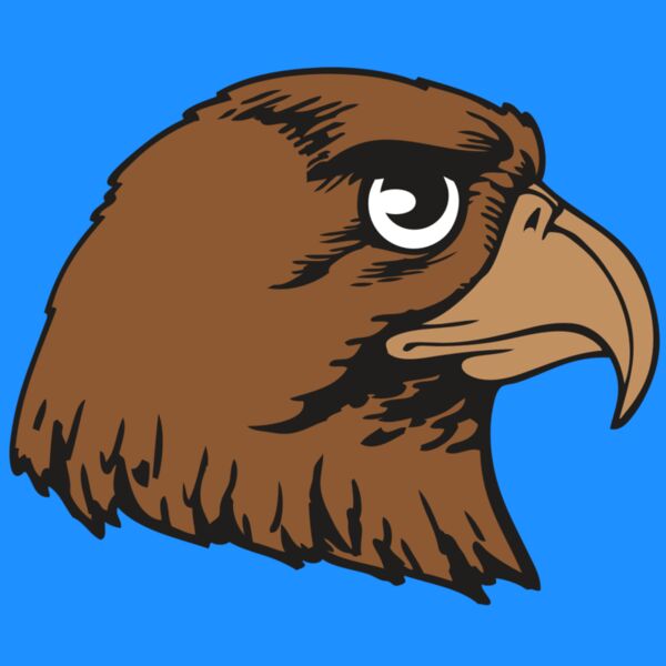 BAW HWK FLCN 05 RC Thumbnail