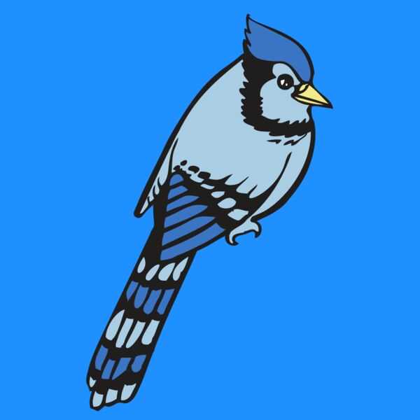 BAW BLUEJAY 08 RC Thumbnail