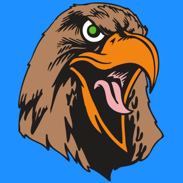 BAW HWK FLCN 01 RC Thumbnail