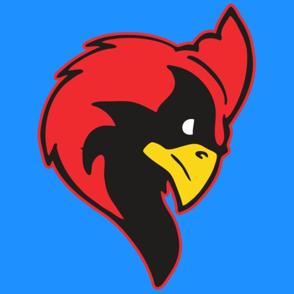 AR CARDINAL 24 RC Thumbnail