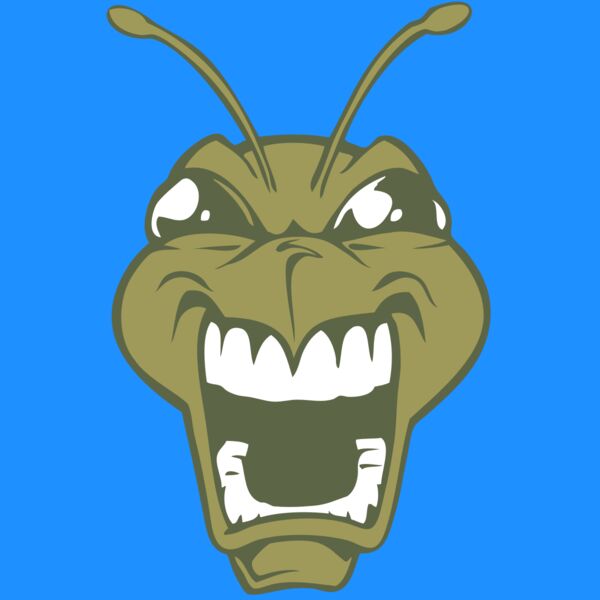 BAW BEE 13 RC Thumbnail