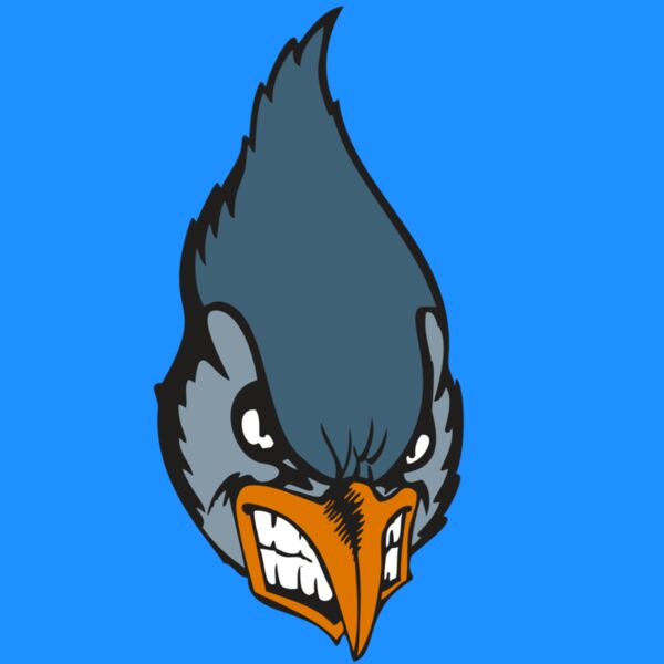 BAW BLUEJAY 01 RC Thumbnail