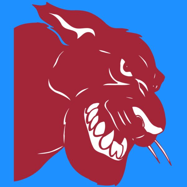 AR5 COUGAR 37 RQC Thumbnail