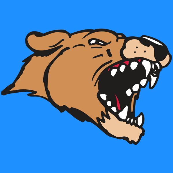 AR5 COUGAR 33 RQC Thumbnail