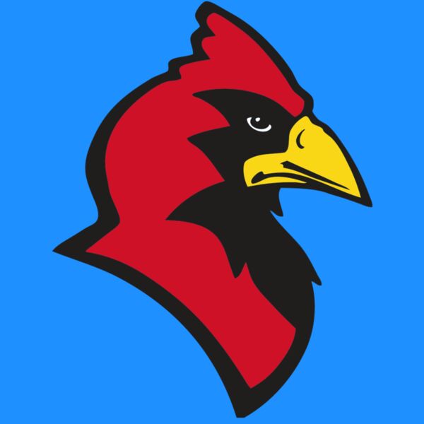 AR CARDINAL 20 RC Thumbnail