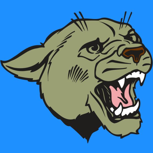 AR COUGAR 40 RC Thumbnail