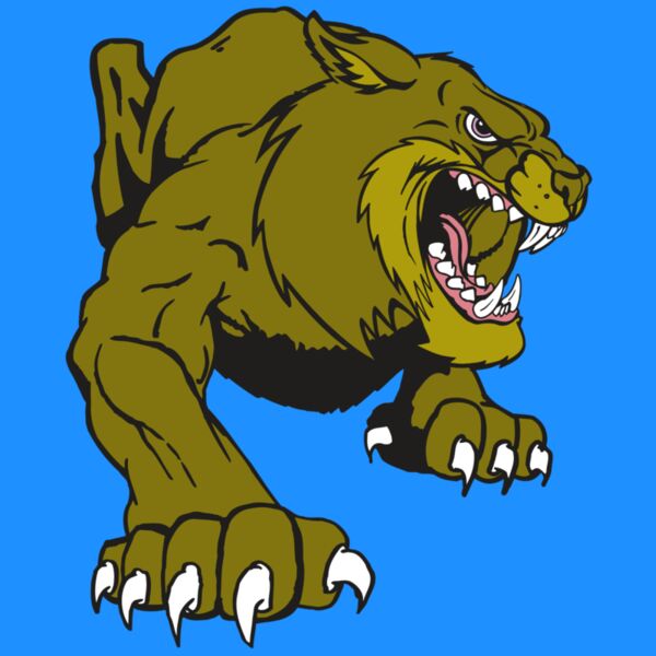 AR5 BOBCAT 24 RQC Thumbnail