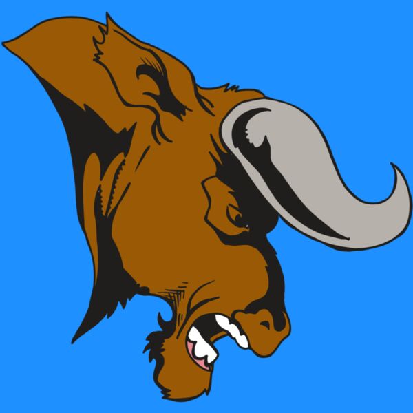 AR5 BULL 07 RQC Thumbnail