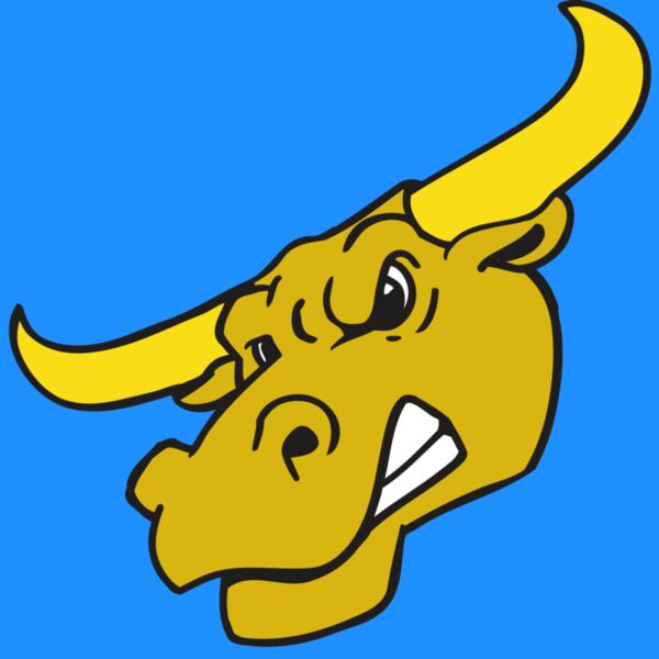 AR BULL 29 RC Thumbnail