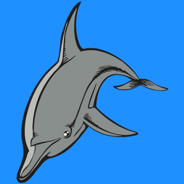 BAW DOLPHIN 03 RC Thumbnail