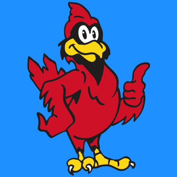 AR CARDINAL 26 RC Thumbnail