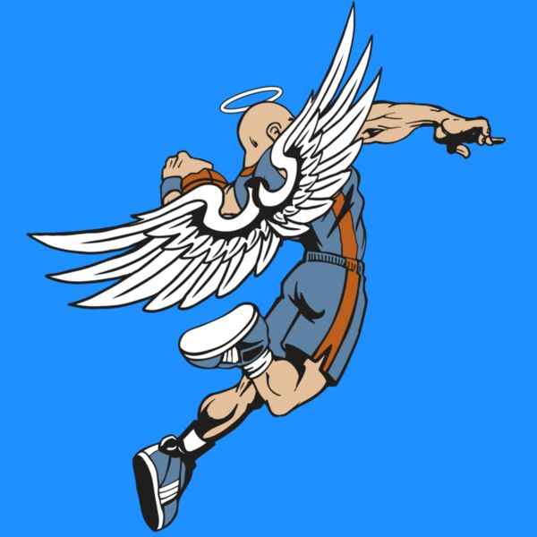 AR17 ANGEL BSKT 02 RQC Thumbnail