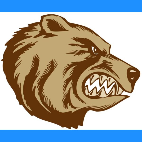 BAW BEAR 16 RC Thumbnail