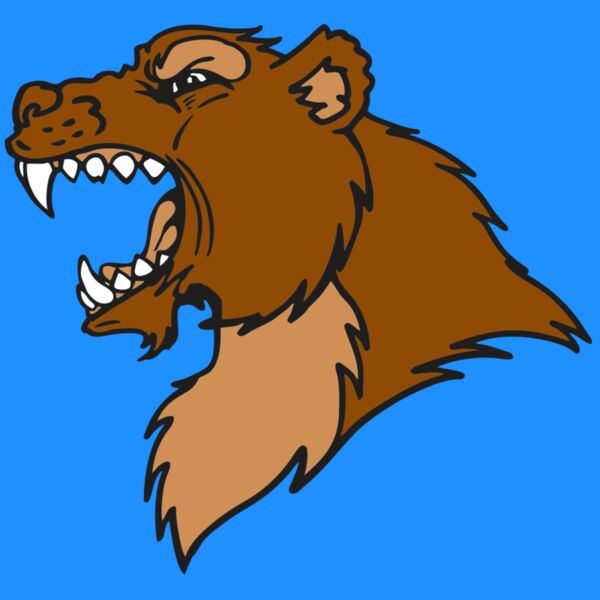 AR BEAR 22 RC Thumbnail