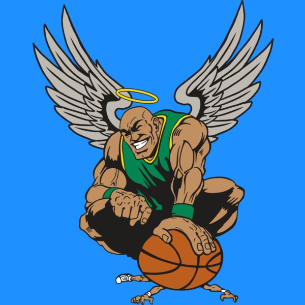 AR17 ANGEL BSKT 03 RQC Thumbnail