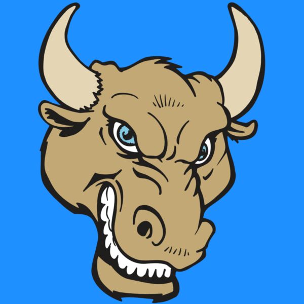 AR5 BULL 13 RQC Thumbnail