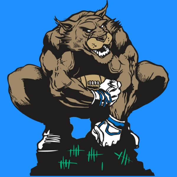 AR WILDCAT 34 RC Thumbnail