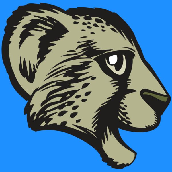 BAW CHEETAH 17 RC Thumbnail