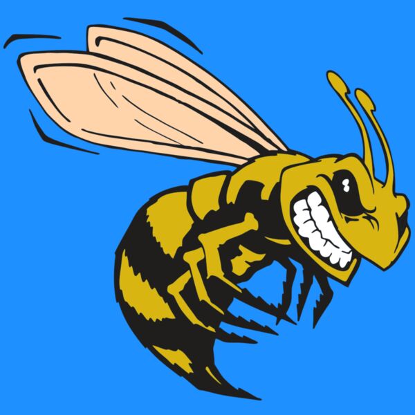 AR BEE 50 RC Thumbnail